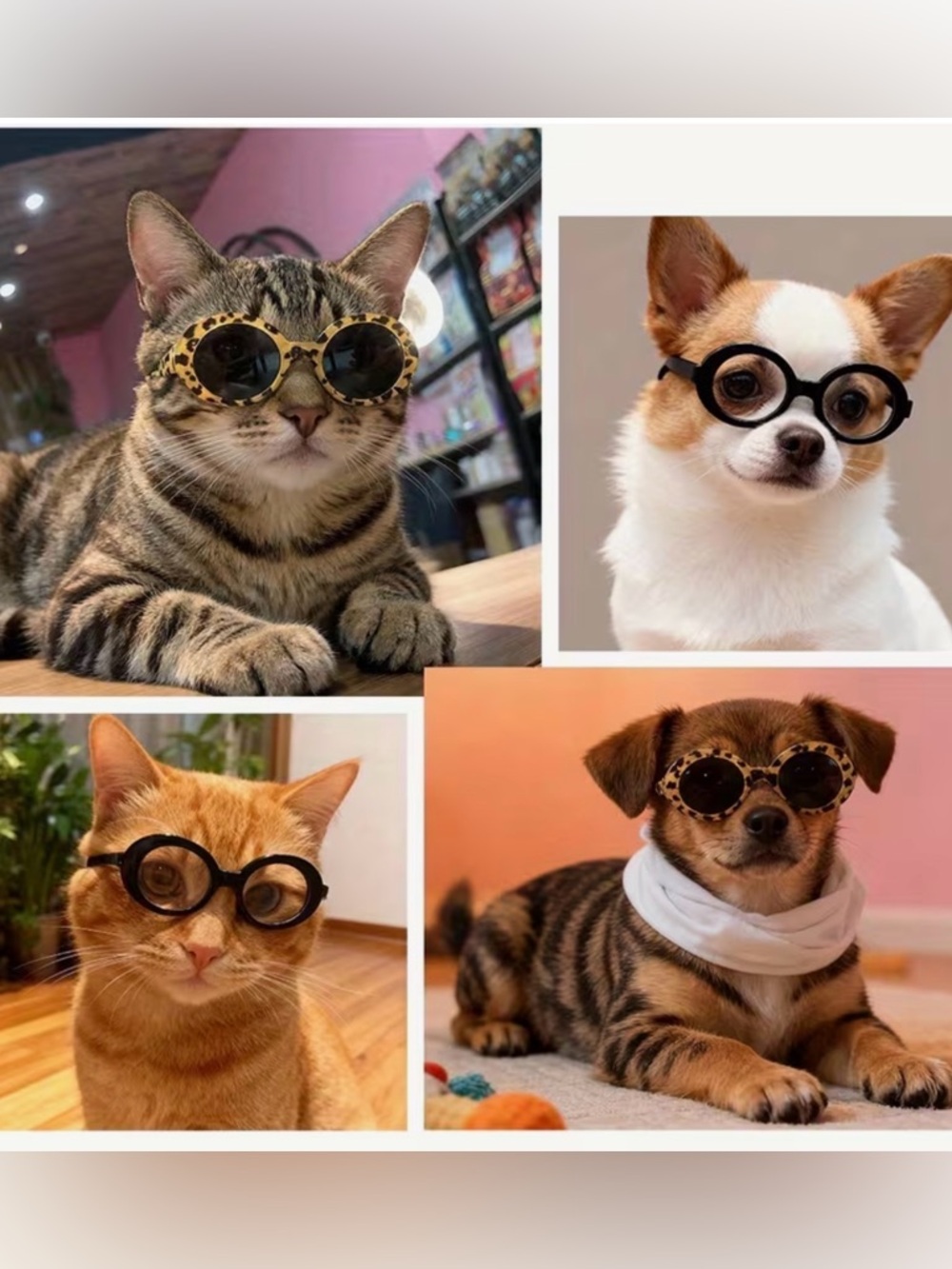 1 pack Cat or Dog Pet Sunglasses Goggles - Black and Leopard Print (Small) - Picture 7 of 8